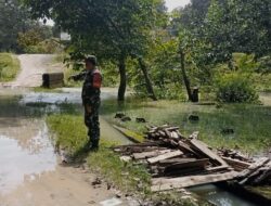 Intensitas Curah Hujan Tinggi, Babinsa Koramil Way Bungur Himbau Warga Tanjung Tirto Waspada
