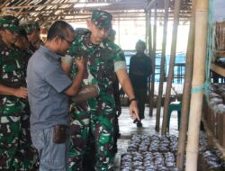 Dandim 0429/Lamtim Tinjau Pelatihan Budidaya Jamur Tiram