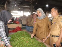 Wagub Lampung, Melakukan Pemantauan Ketersediaan dan Harga Pangan Menjelang Hari Raya Idul Fitri 1444H