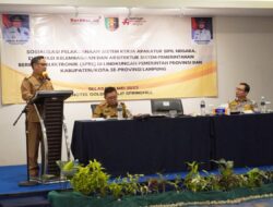 Penyesuaian Sistem Kerja ASN Diharapkan Mendorong Terwujudnya Organisasi yang Fleksibel, Profesional, Transparan dan Kompeten