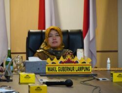 Wagub Chusnunia Ikuti Rakor Pengendalian Inflasi Daerah Bersama Menteri Dalam Negeri