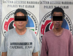 Residivis Pengedar Narkotika Jenis Sabu di Kampung Umpu Bhakti Diringkus Polres Way Kanan
