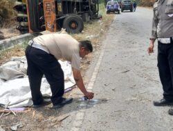 Sopir Mengantuk, Cold Diesel Keluar Jalur Tabrak Tronton di Jalintim