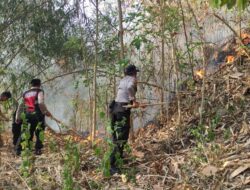 Marak Kebakaran Lahan, Polisi Lakukan Penyelidikan