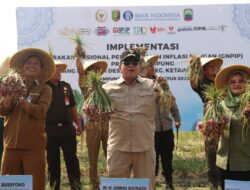 Gubernur Arinal Djunaidi Melakukan Panen Bawang Merah di Desa Ruguk Lampung Selatan