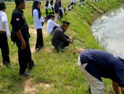 Pekon Nusa Wungu Gelar Pelantikan KPPS Dan Penanaman Pohon