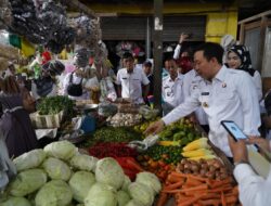 Hari Kedua Ramadhan, Pj.Bupati Pringsewu Monitoring Harga Kebutuhan Pokok di Pasar