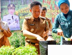 Pemkab Pringsewu Adakan Gerakan Serentak Menanam Cabai
