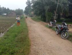 Peduli Lingkungan, Pekon Pandansari Lakukan Pembersihan Sungai dan Penyemprotan Jalan