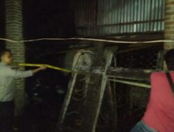Kandang Ayam di Pringsewu Terbakar Kerugian Sampai Belasan Juta Rupiah
