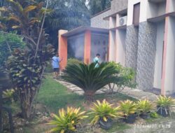 Dalam Sebulan 20 Warga Pekon Lugusari, Pagelaran Terjangkit DBD