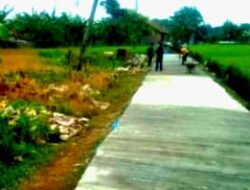 Realisasi Dana Desa Tahun 2024, Pekon Kediri Bangun Jalan Rabat Beton