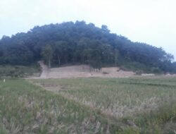 Melalui Dana Desa 2024, Pekon Ambarawa Barat Bangun Tempat Wisata
