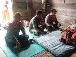 Seorang Petani Tewas Diserang Kawanan Gajah di Kecamatan Bandar Negeri Semuong