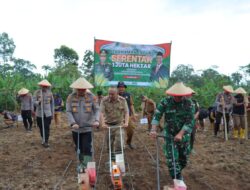 Polres dan Pemkab Tanggamus Tanam Jagung Serentak di Talang Padang