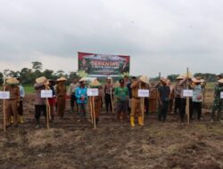 Dukung Ketahanan Pangan Nasional, Polres pringsewu dan Pemda Tanam Jagung di Lahan 142 Hektar