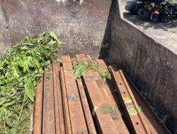 Satgas Anti Premanisme dan Kejahatan Polres Way Kanan Ringkus Pelaku Curat