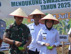 Pererat Kekompakan, Dandim 0427/Way Kanan Ikuti Gerakan Tanam Jagung Petani Mitra Adhyaksa