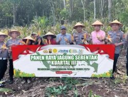 Polsek Blambangan Ikuti Panen Raya Serentak