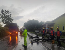 Satlantas Polres Way Kanan Evakuasi Tiang Listrik Tumbang Tutupi Jalinsum Suka Negeri