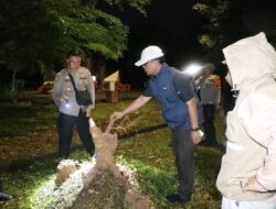 Gerak Cepat, Ardito Bersama Semua Instansi Tinjau Lokasi Bencana Angin Puting Beliung