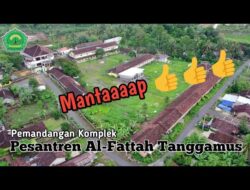 Diduga Alami Perundungan Berat, Keluarga Santriwati Laporkan Pesantren di Tanggamus ke Polisi