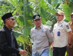 Bupati Lampung Barat Tinjau Jalan Putus di Way Tenong