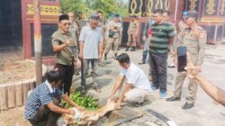 Warga potong kambing usai sekda lampung tengah ditetapkan tersangka