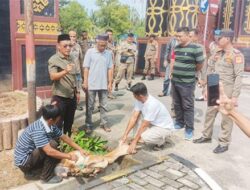 Warga potong kambing usai sekda lampung tengah ditetapkan tersangka